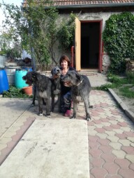 My dog ´s family